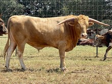SR 188