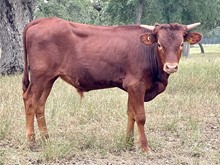 SR 2112