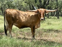 SR 330