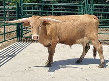 SR 344
