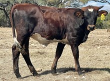 SR Claude's Chex Mix 539