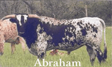 ABRAHAM