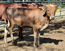 SR 2100