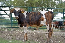 SR Spencer 227