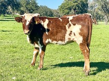 SR 349