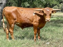 SR 449